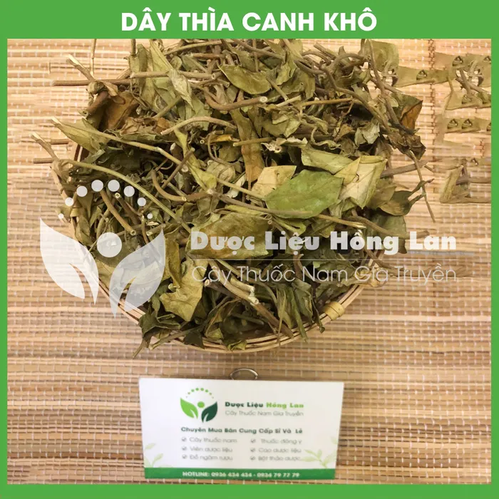 Cây Dây Thìa Canh khô 3