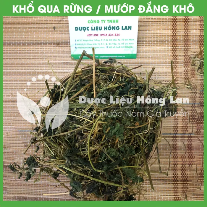 Dây Khổ Qua (Mướp Đắng) rừng 1