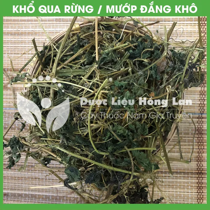 Dây Khổ Qua (Mướp Đắng) rừng 3
