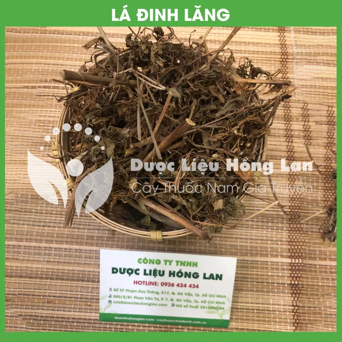 Lá Cây Đinh Lăng 1