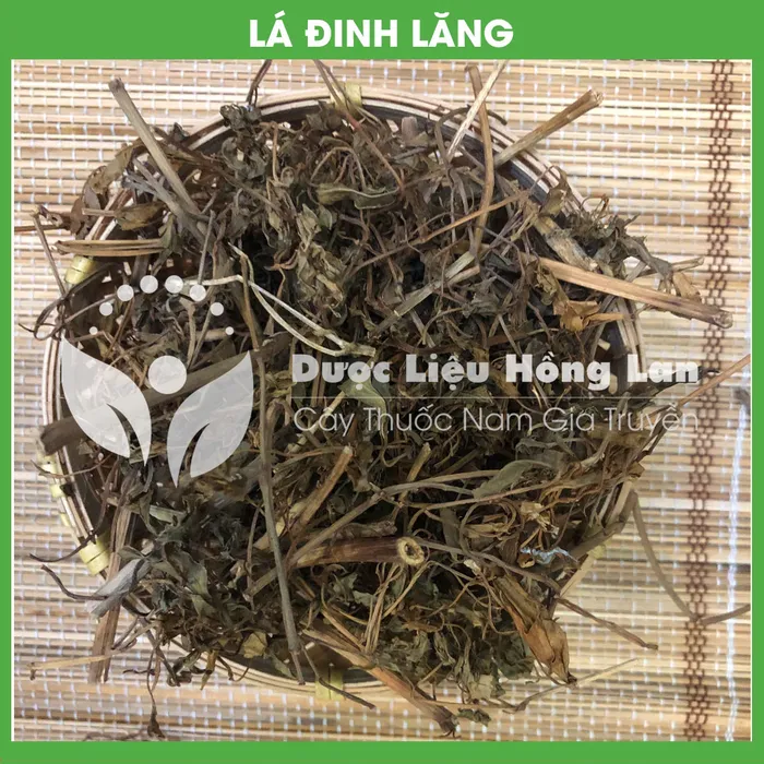 Lá Cây Đinh Lăng 3