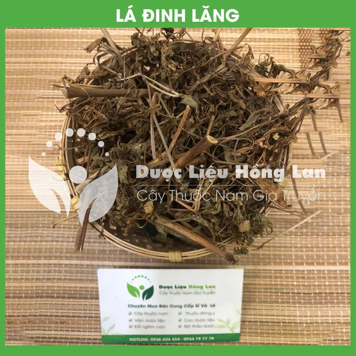 Lá Cây Đinh Lăng 2