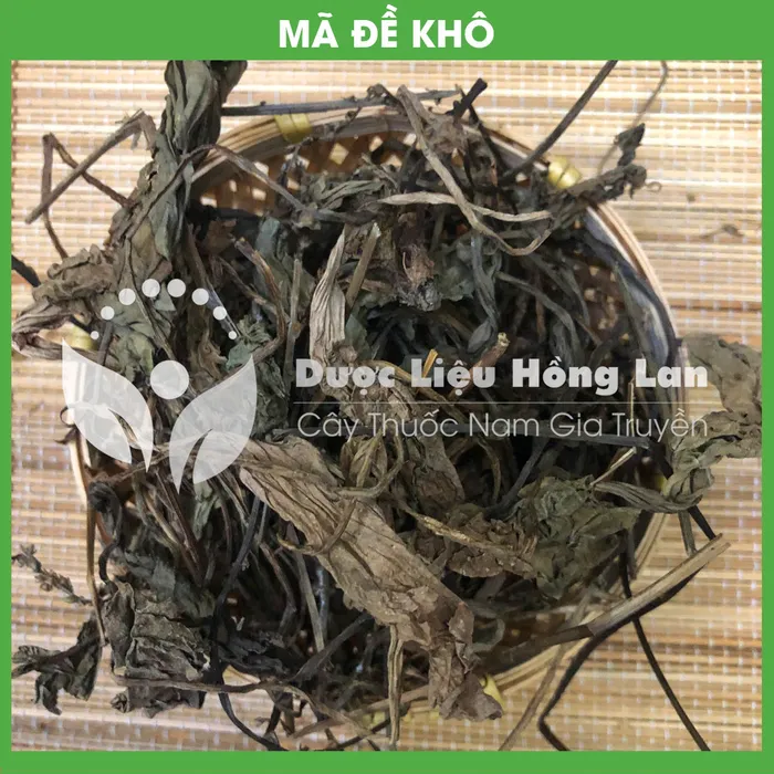 Bông Cây Mã Đề khô 3