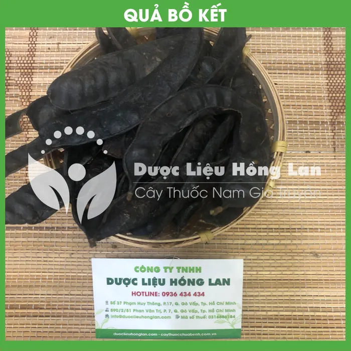Quả Bồ Kết khô 1