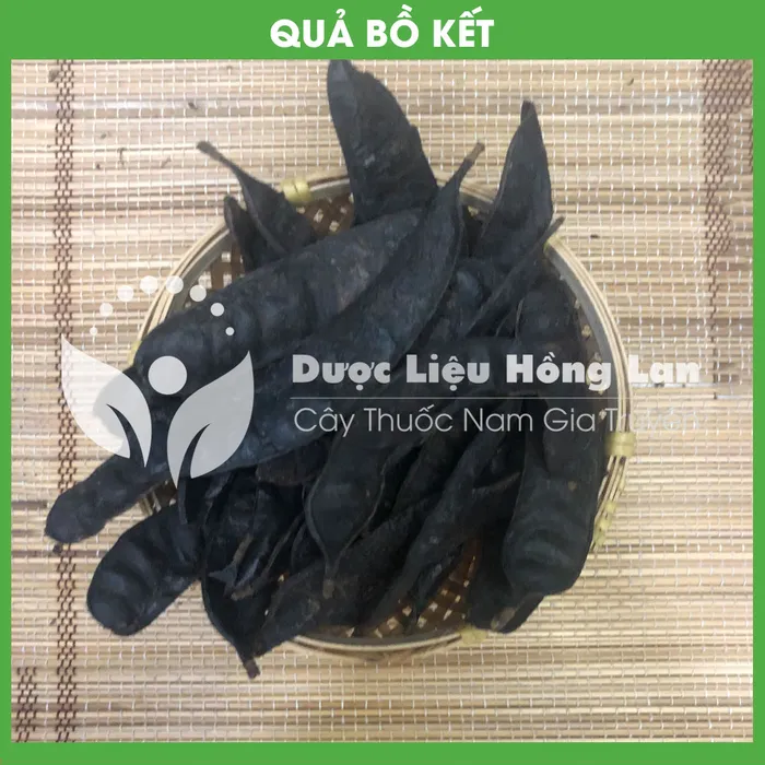 Quả Bồ Kết khô 3