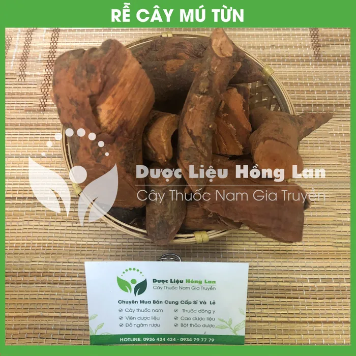 Cây Mú Từn khô 1