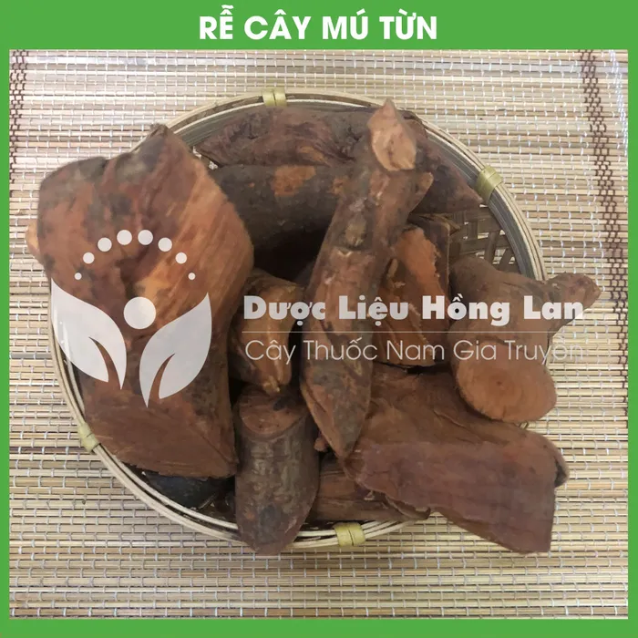 Cây Mú Từn khô 2