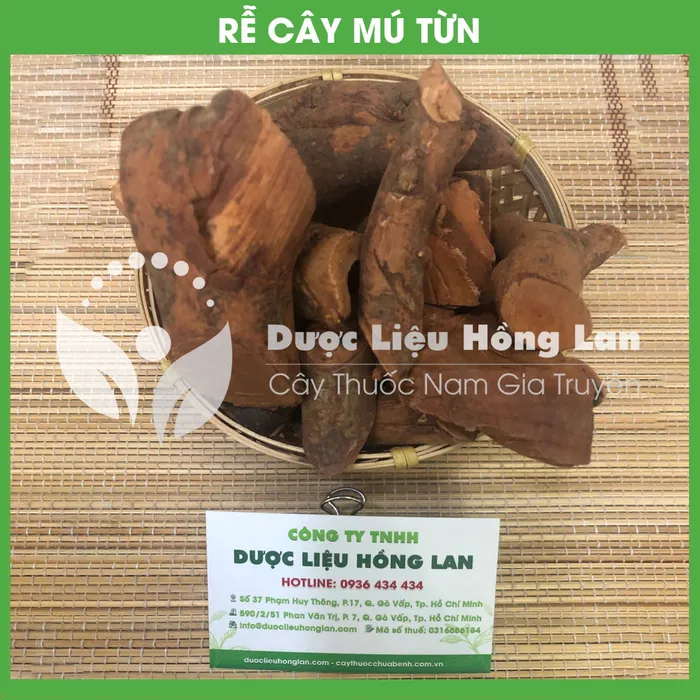 Cây Mú Từn khô 3