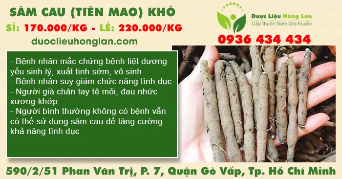 Sâm Cau (Tiên Mao) khô