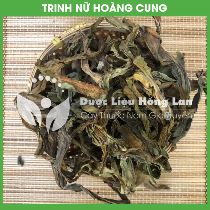 Cây Trinh Nữ Hoàng Cung khô 3