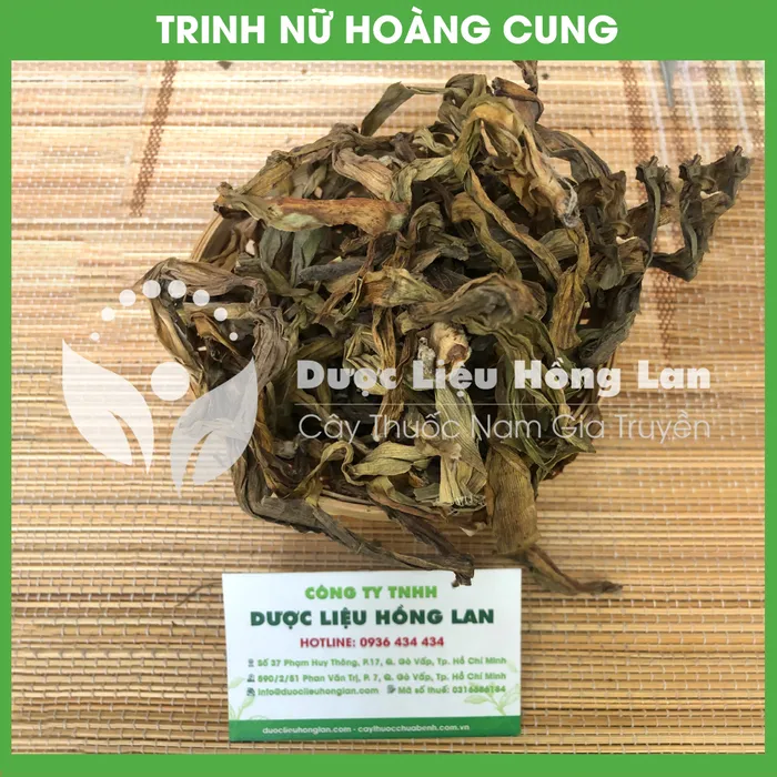 Cây Trinh Nữ Hoàng Cung khô 1