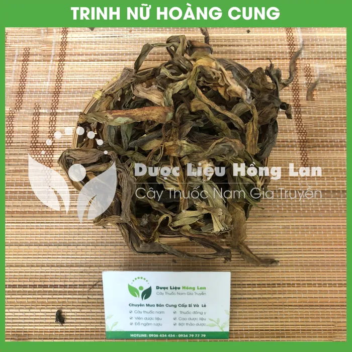 Cây Trinh Nữ Hoàng Cung khô 2