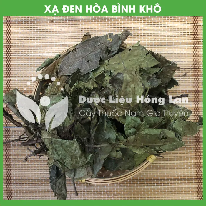 Cây Xạ Đen Hòa Bình khô 3