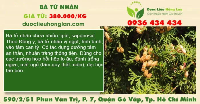 Bá tử nhân
