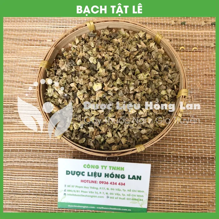 Quả Bạch Tật Lê 1