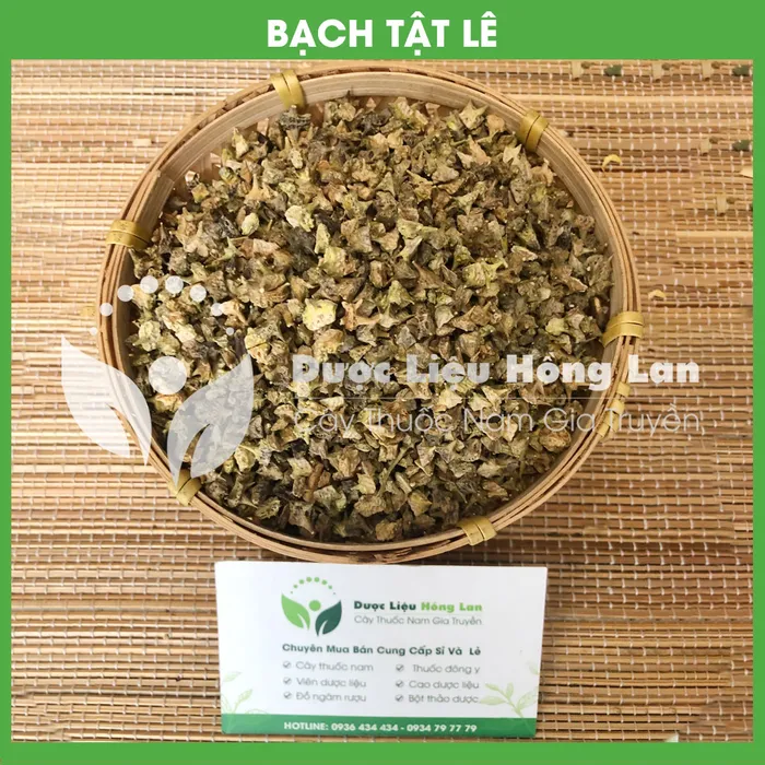 Quả Bạch Tật Lê 2