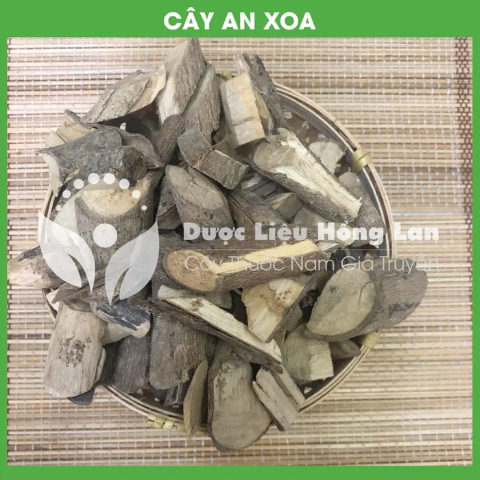Cây An Xoa khô 3