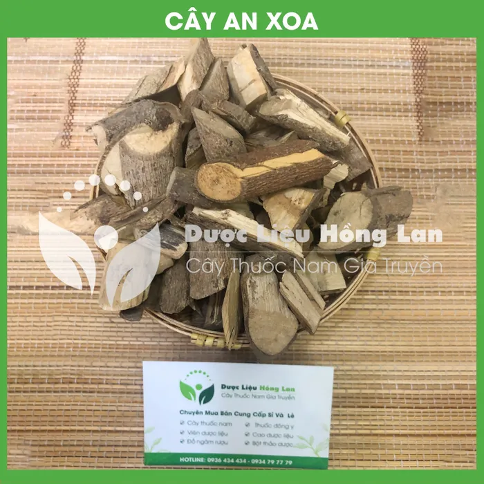 Cây An Xoa khô 2
