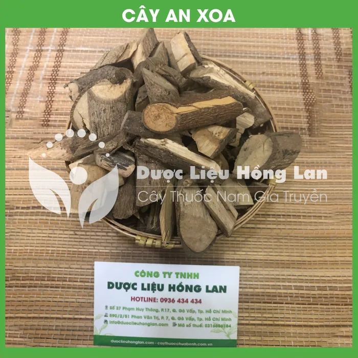 Cây An Xoa khô 1