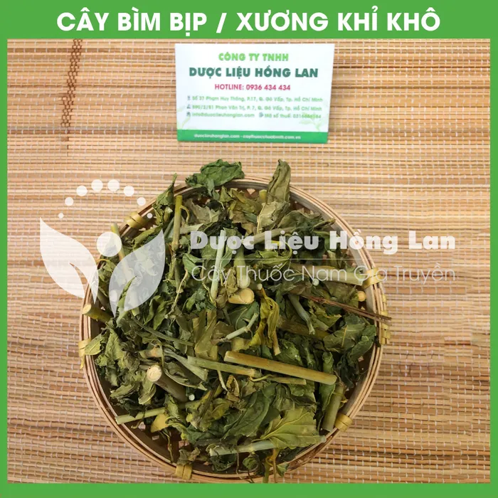 Cây Bìm Bịp (Xương Khỉ, Mảnh Cộng) 1