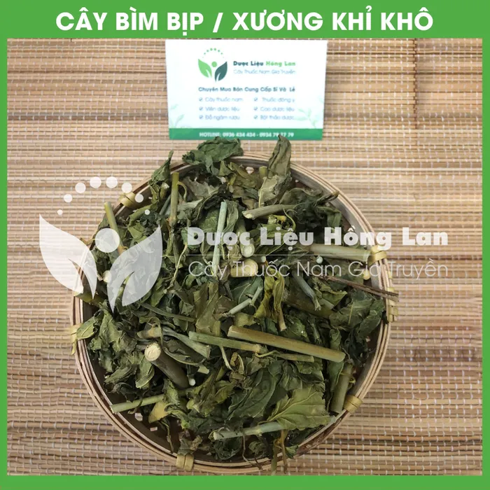 Cây Bìm Bịp (Xương Khỉ, Mảnh Cộng) 2