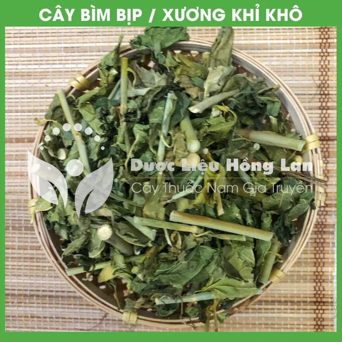 Cây Bìm Bịp (Xương Khỉ, Mảnh Cộng) 3