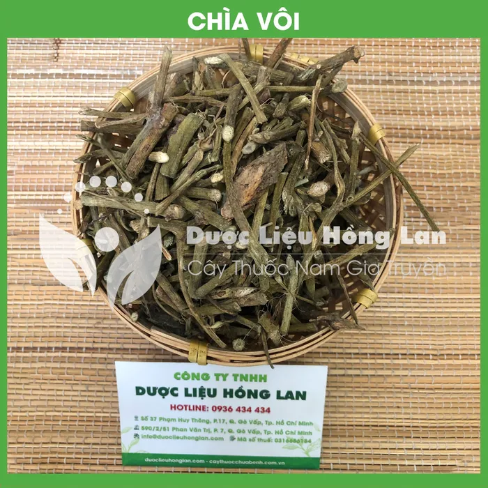 Cây Chìa Vôi Khô 1