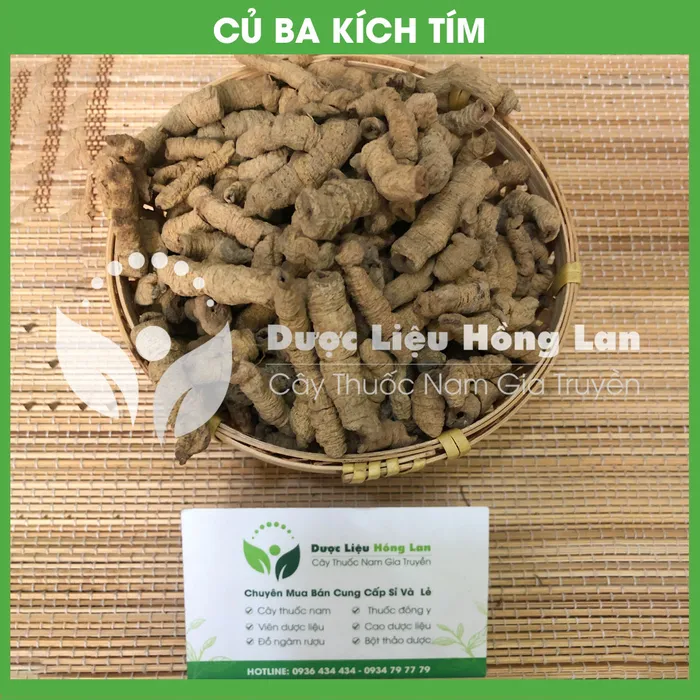 Củ Ba Kích tím rừng 2