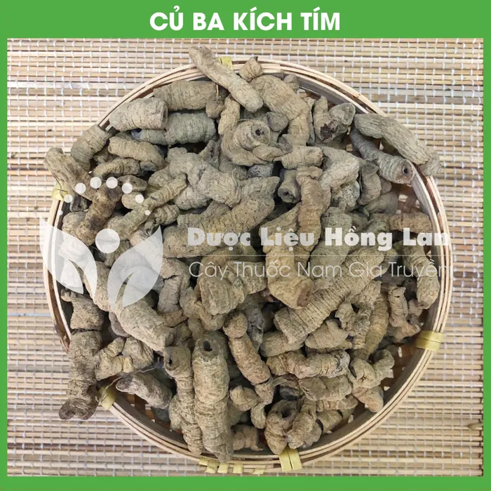 Củ Ba Kích tím rừng 3