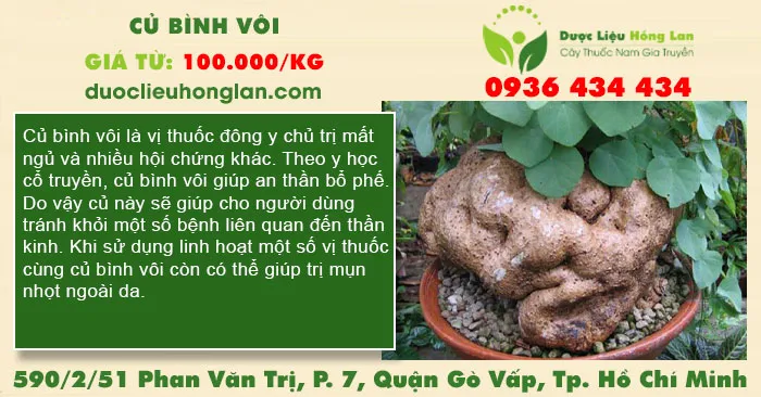 Củ Bình Vôi