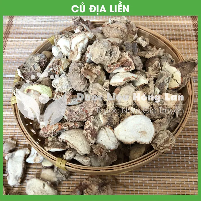 Củ Địa liền 3