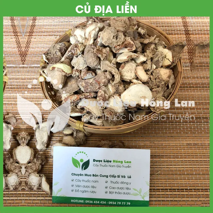 Củ Địa liền 2