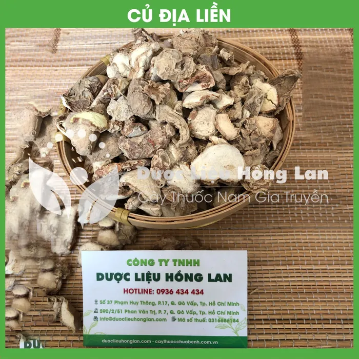 Củ Địa liền 1