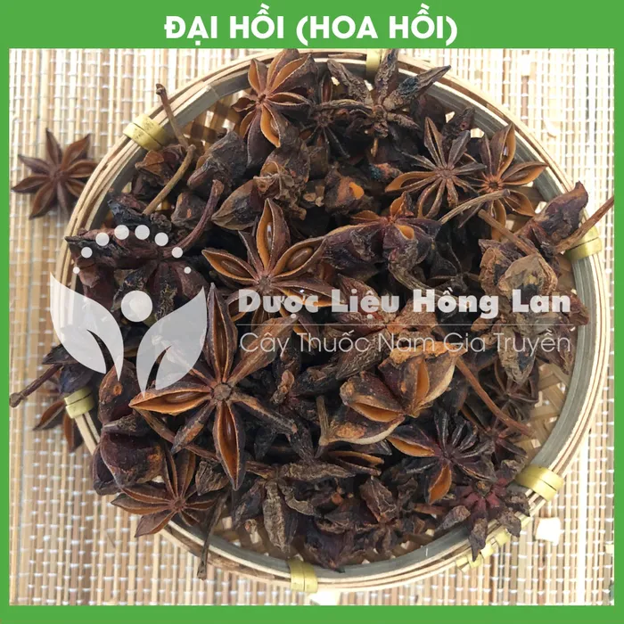 Hoa Hồi (Đại Hồi) 3