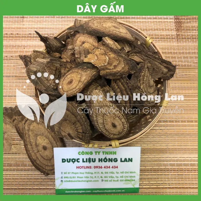 Dây Gắm 1