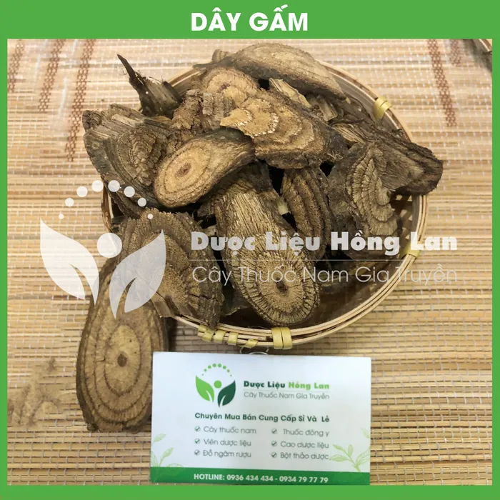 Dây Gắm 2