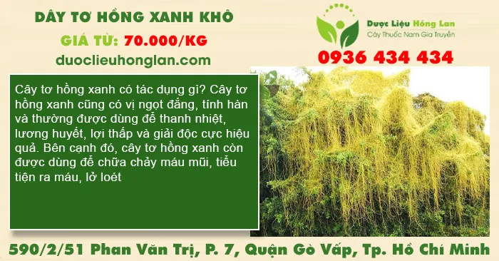 Dây Tơ Hồng Xanh khô