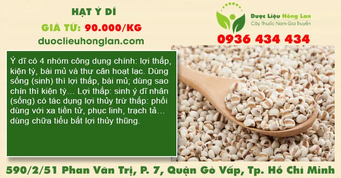 Hạt Ý Dĩ
