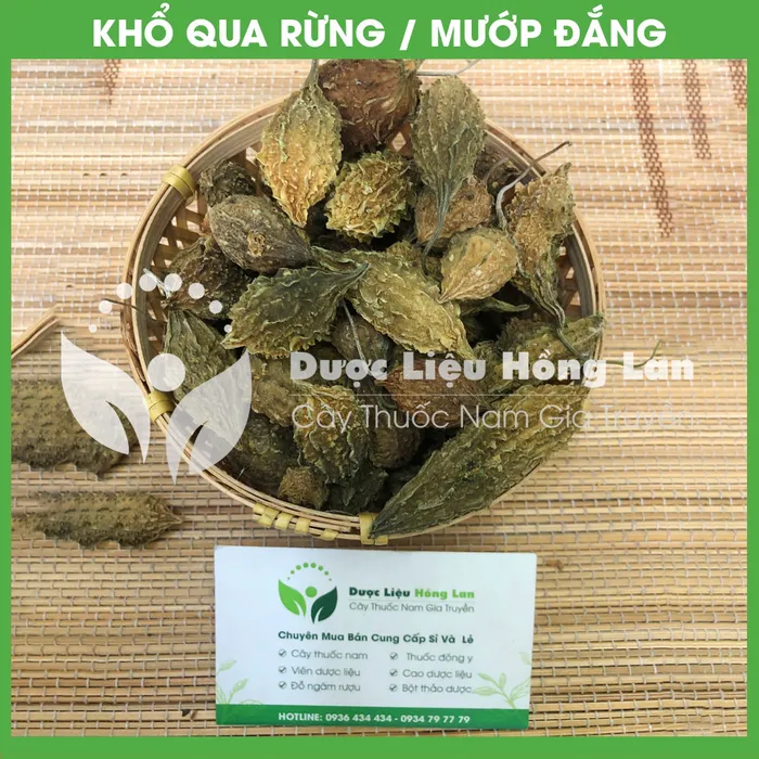 Trái ổ Khổ qua (Mướp đắng) rừng nguyên trái 2