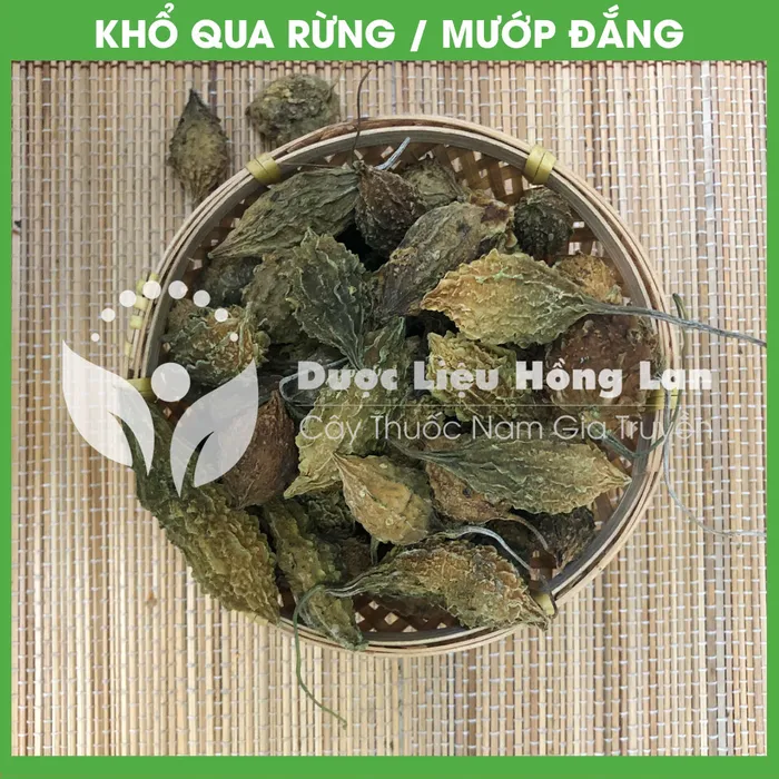 Trái ổ Khổ qua (Mướp đắng) rừng nguyên trái 3