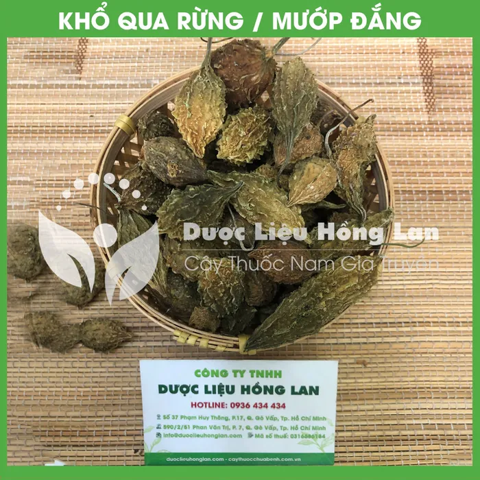 Trái ổ Khổ qua (Mướp đắng) rừng nguyên trái 1