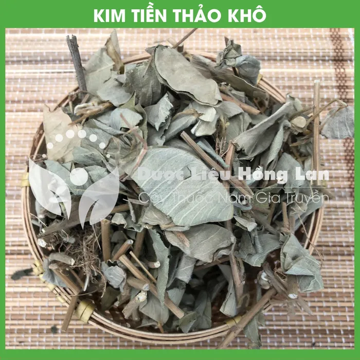 Cây Kim Tiền Thảo khô 3