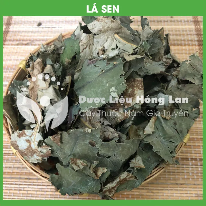 Lá Sen khô 3