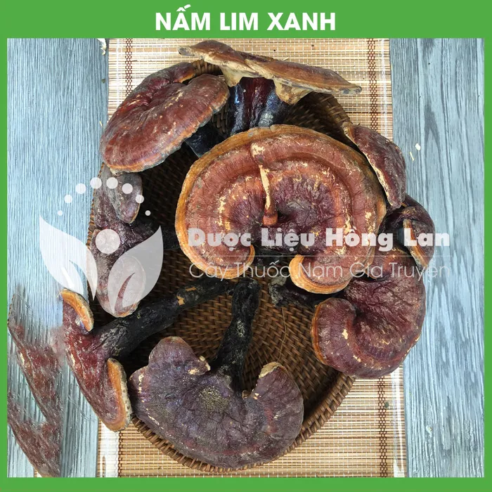 Nấm Lim Xanh 3