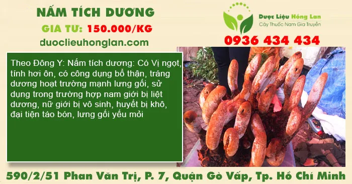 Nấm Tích Dương