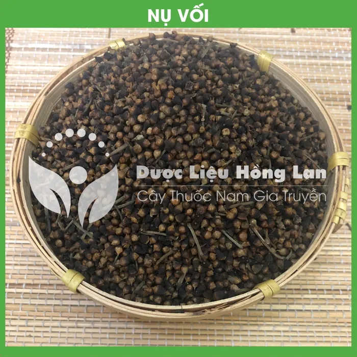 Nụ Vối (Hoa Vối) 3