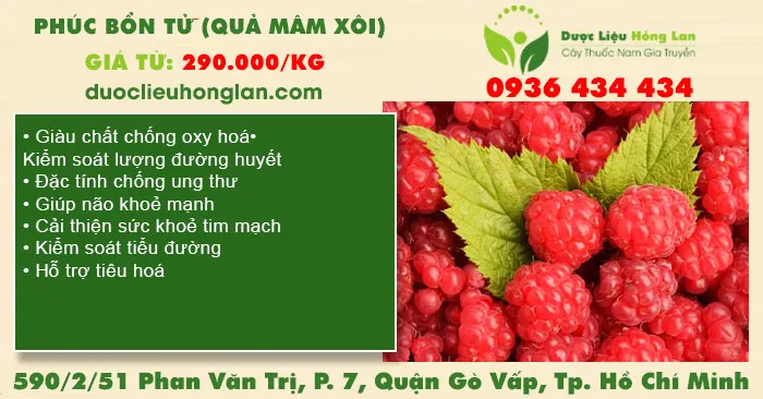 Phúc bổn tử (quả mâm xôi)