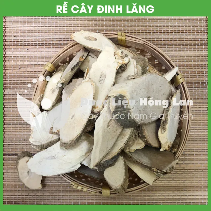 Củ (Rễ) Đinh Lăng nếp lá nhỏ  3