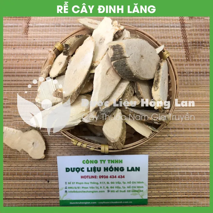 Củ (Rễ) Đinh Lăng nếp lá nhỏ  1