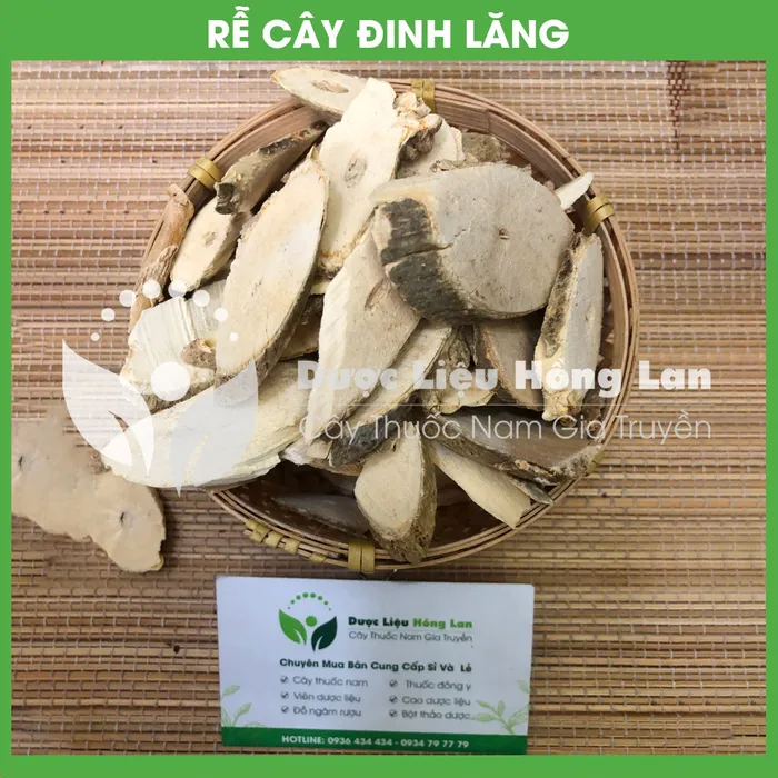 Củ (Rễ) Đinh Lăng nếp lá nhỏ  2